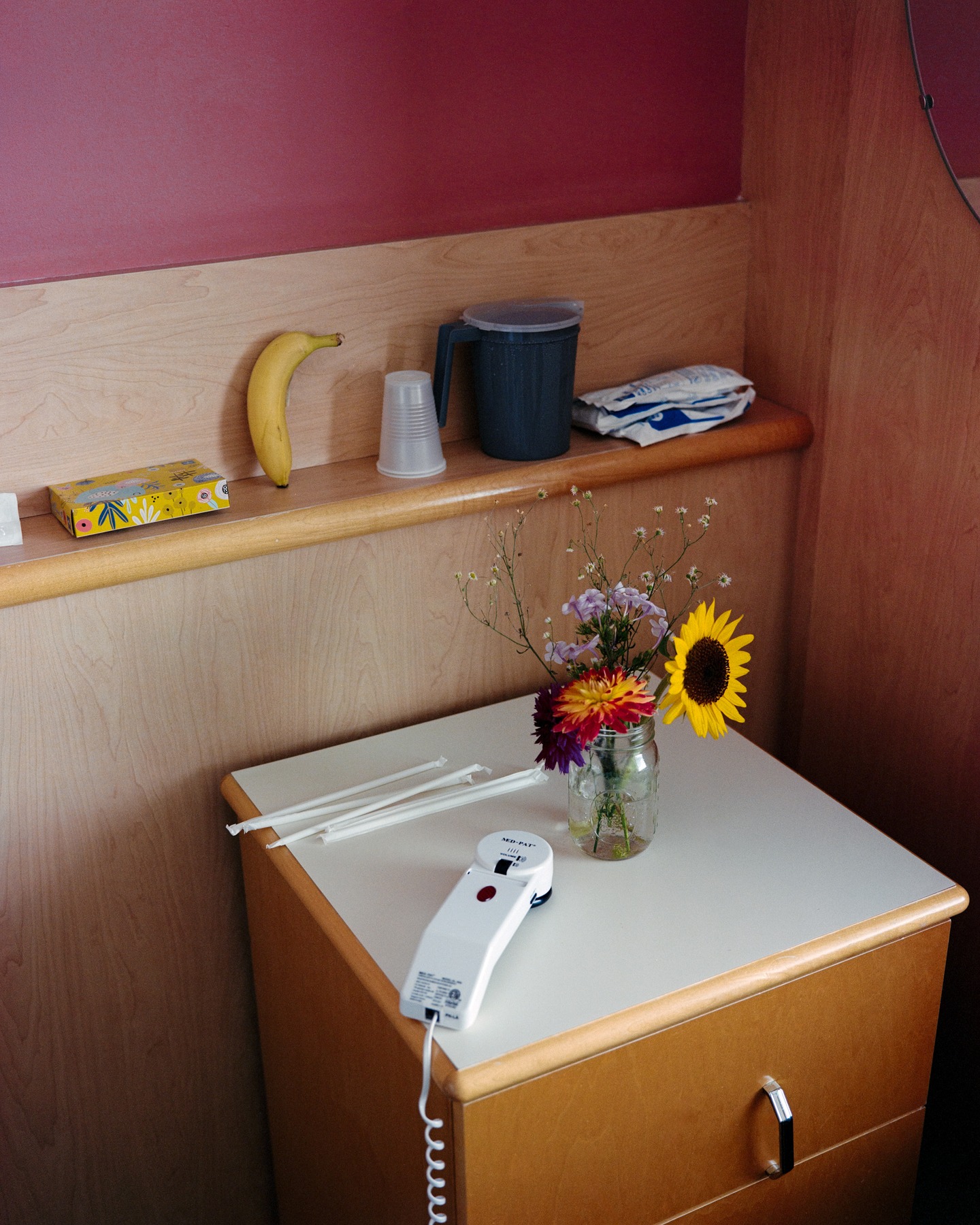 A sunflower in a bathroom with a pink wall